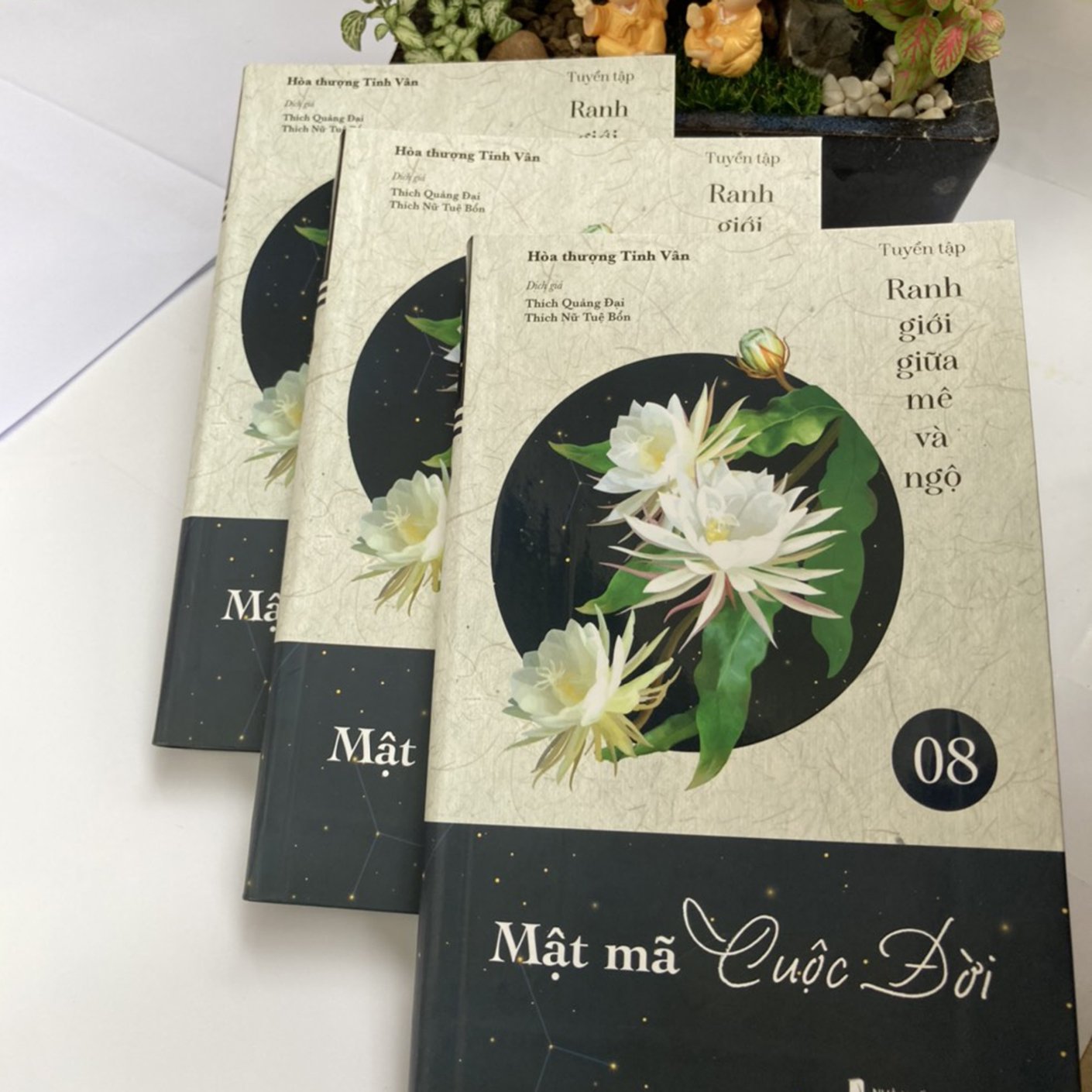 Mật mã cuộc đời - tuyển tập Ranh giới giữa mê và ngộ tập 08