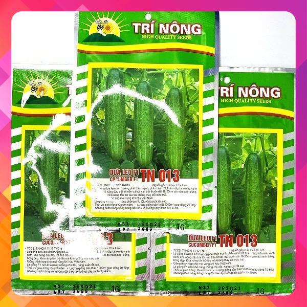 Hạt giống dưa leo F1 TN 013 (hạt giống dưa có khả năng đậu trái tốt nên trái rất sai, trái thuôn dài 18-20cm)