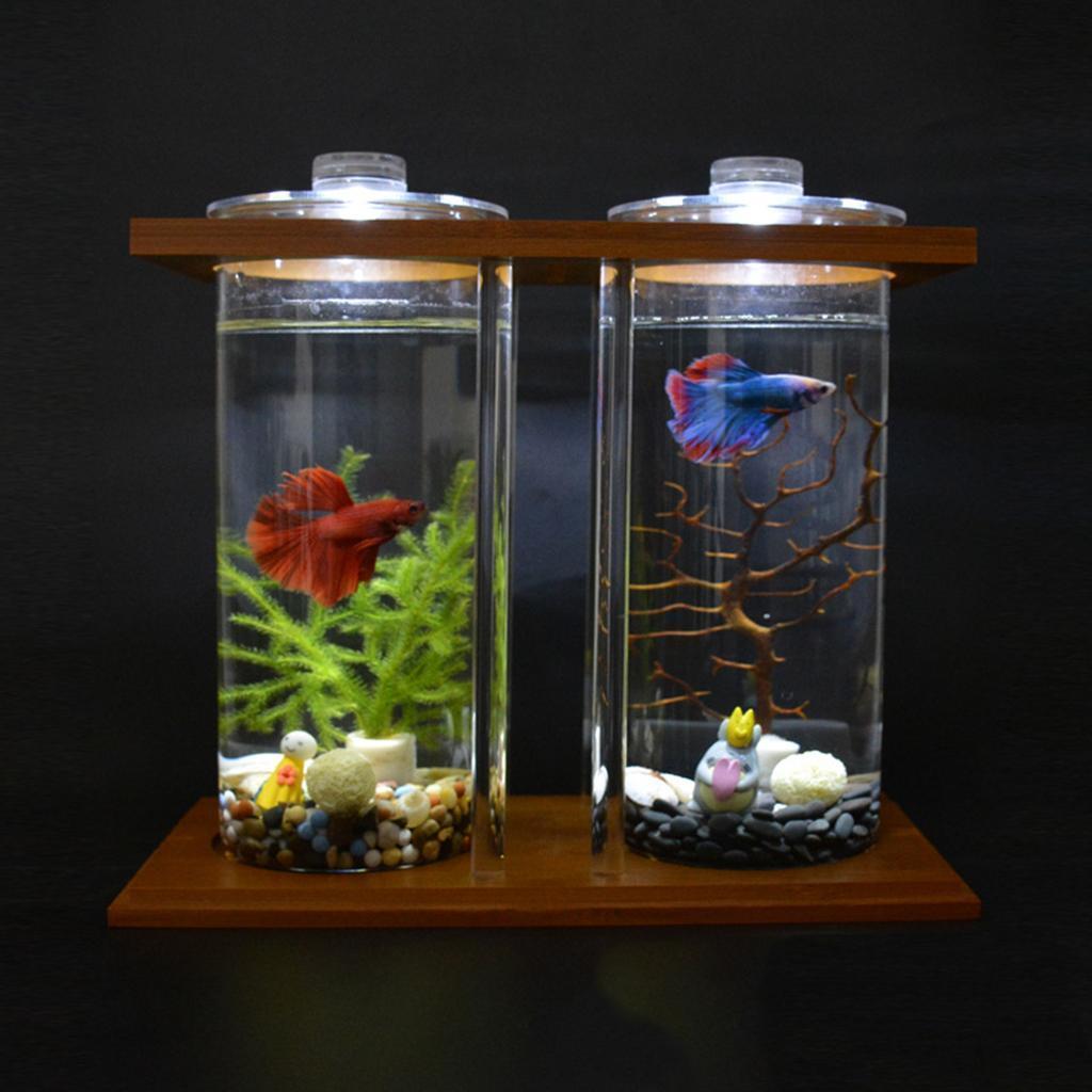 Mini   Tank Water Plant Terrarium Transparent Small Aquarium Desk Decor