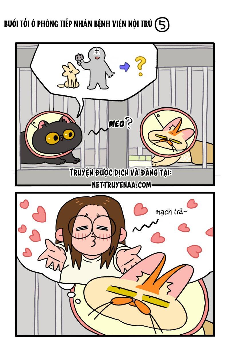 a mãn và mạch trà chapter 19.1 3