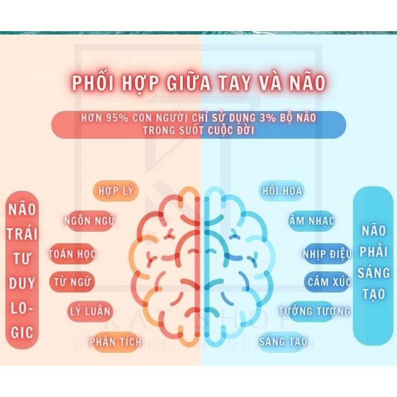 Đồ chơi rèn luyện sự cân bằng não trái và não phải – Đồ chơi giáo dục thông minh