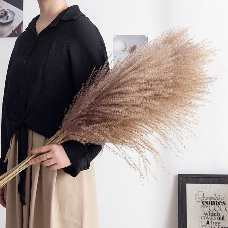 30 Chiếc Pampas Cỏ Hoa Khô Tự Nhiên Dekoration Sậy Phragmites Chùm Communis Trang Trí Mộc Tặc Đánh Lagurus Ovatus