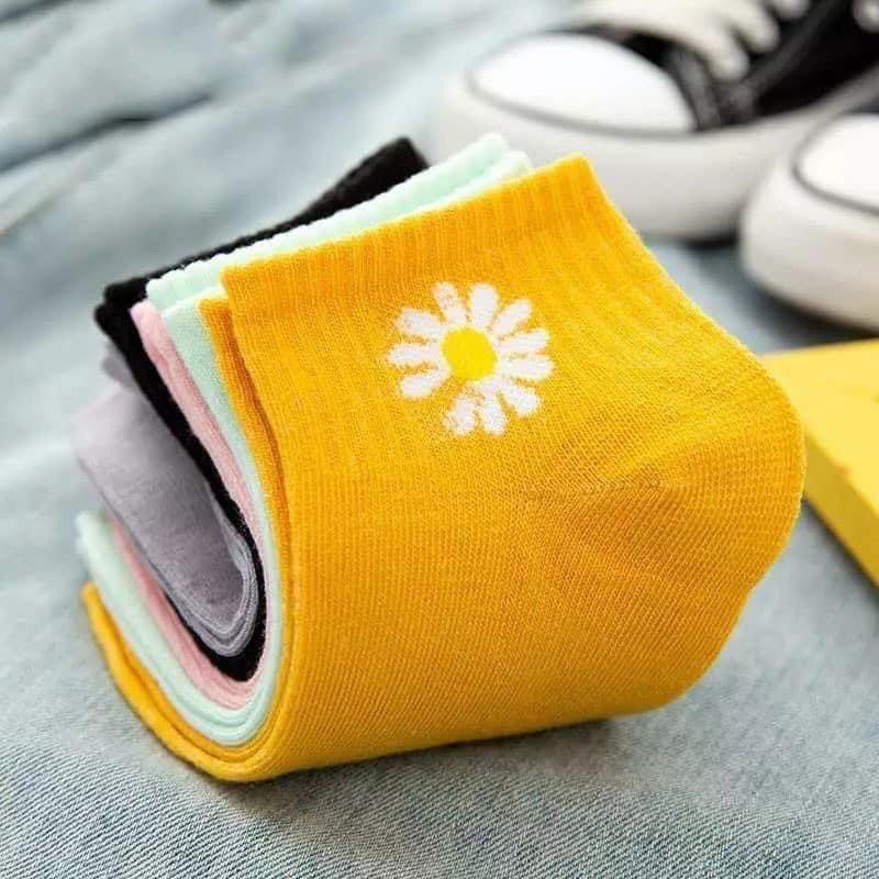 Tất hoa cúc cotton