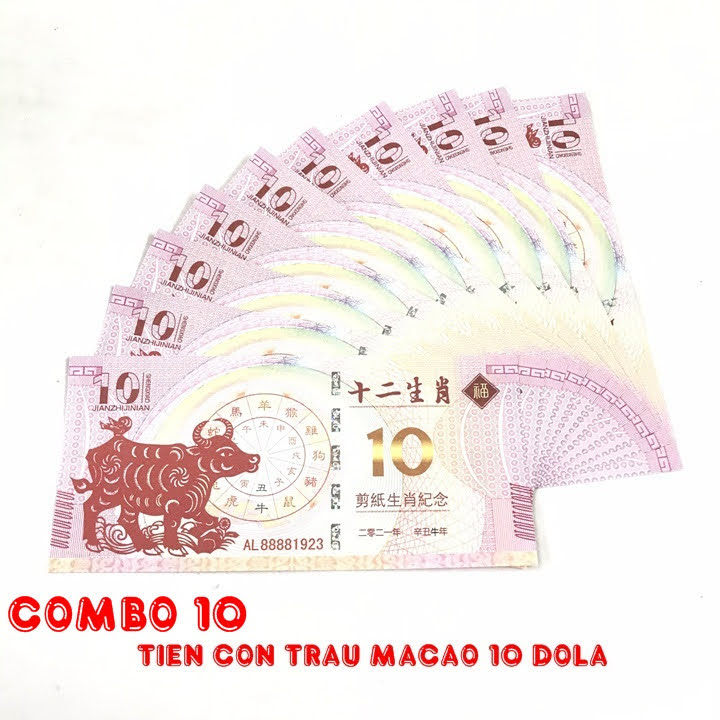 Combo 10 tờ lưu niệm 10 dola Macao hình con Trâu, dùng để sưu tầm, lưu niệm, làm tiền lì xì độc lạ, may mắn, ý nghĩa - TMT Collection - SP005058