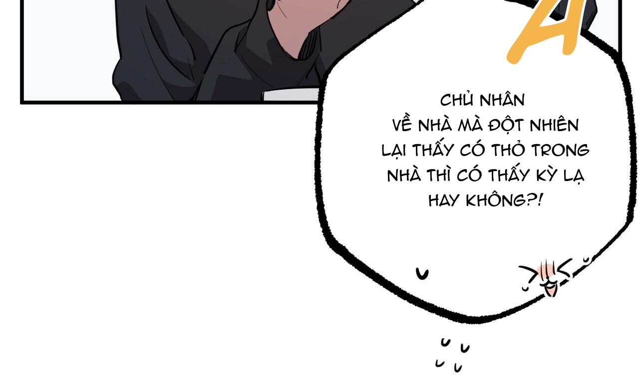 đàn thỏ của habibi chapter 37 197