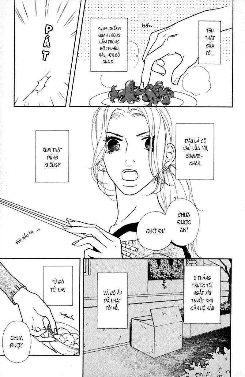 kimi wa petto chapter 2 3