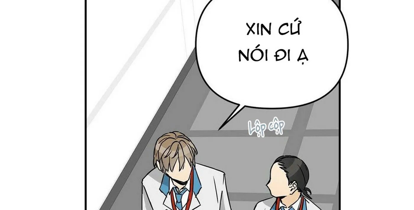 guide cấp b chapter 2 15