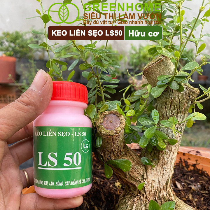 Keo Liền Sẹo LS50 Cho Cây Greenhome, Liền Nhanh Vết Cắt Da Cây, Chiết Cành,  Bonsai, Lan, Kiểng Lá