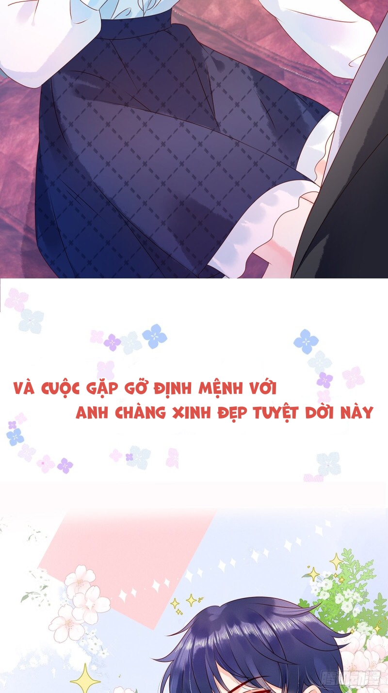 cô thỏ của chủ tịch sói chapter 0 5