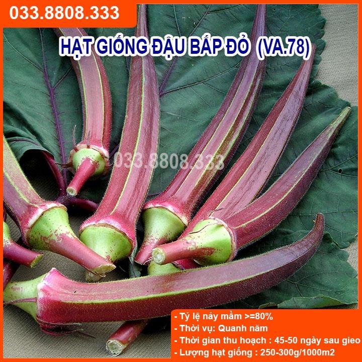 Hạt Giống Đậu Bắp Đỏ 10gram -Sai Quả Nhanh Thu Hoạch