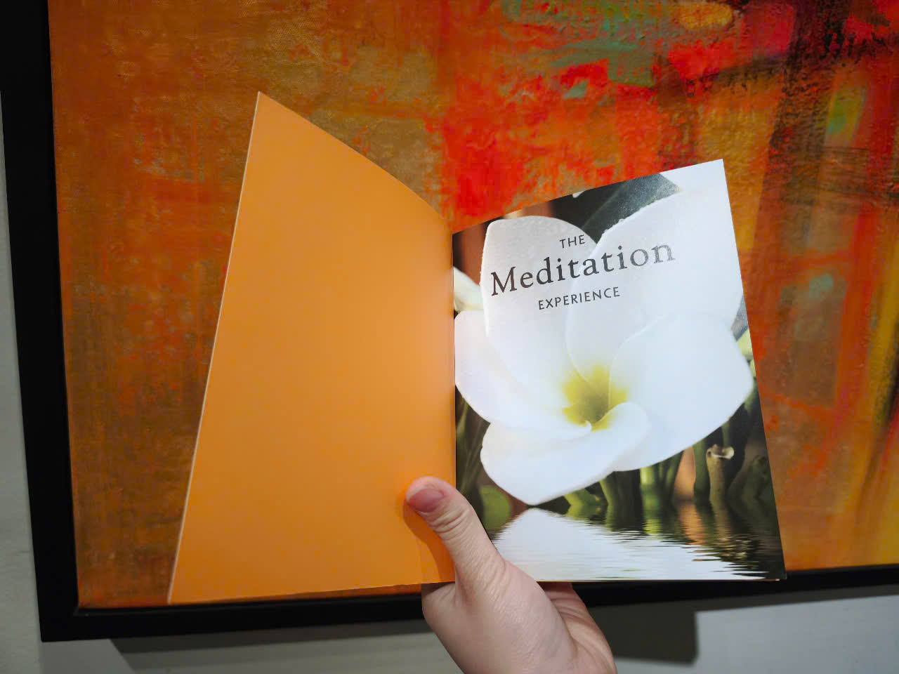 Sách - The Meditation Experience: Your Complete Meditation Workshop by Madonna Gauding