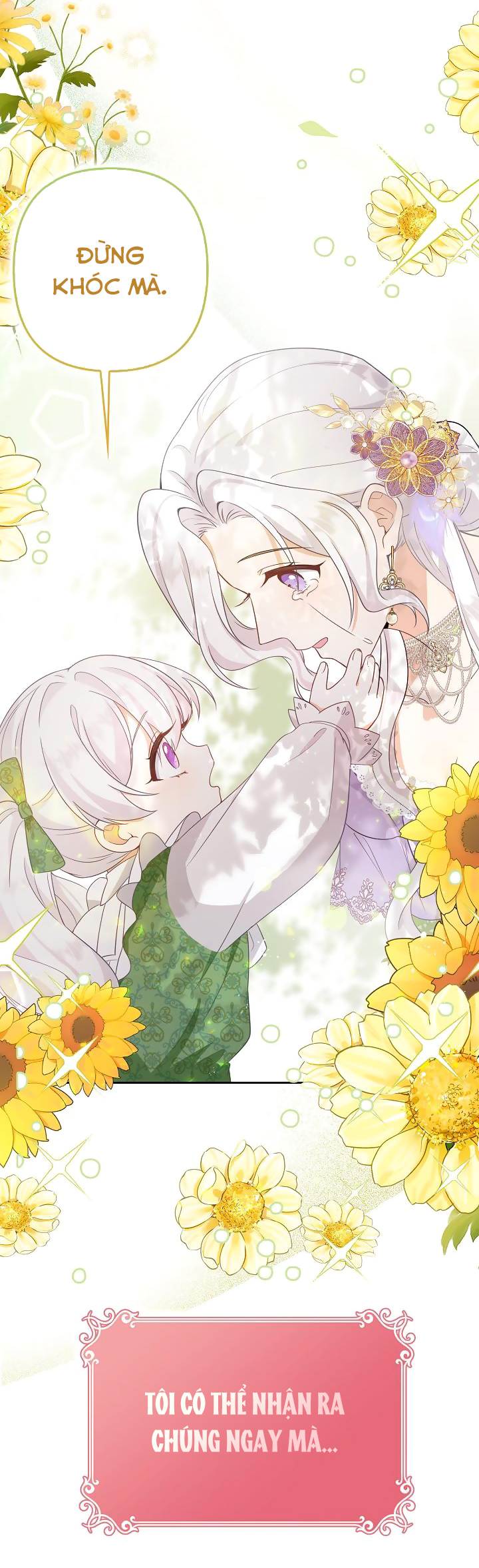 tôi sẽ nuôi dưỡng hai đứa con của nam chính chapter 2 28