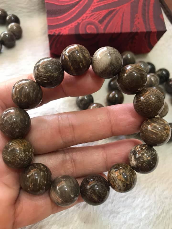 Vòng Gỗ Hóa Thạch Nam Đeo Tay Rất Đẹp Hiếm có hàng size 14mm Vòng size 14ly gồm 14 hạt vào cung nam đeo được hết ạ Màu Nâu Đậm Vân Gỗ Tự Nhiên Nam đeo Đẹp Sang Tay tốt rẻ ạ