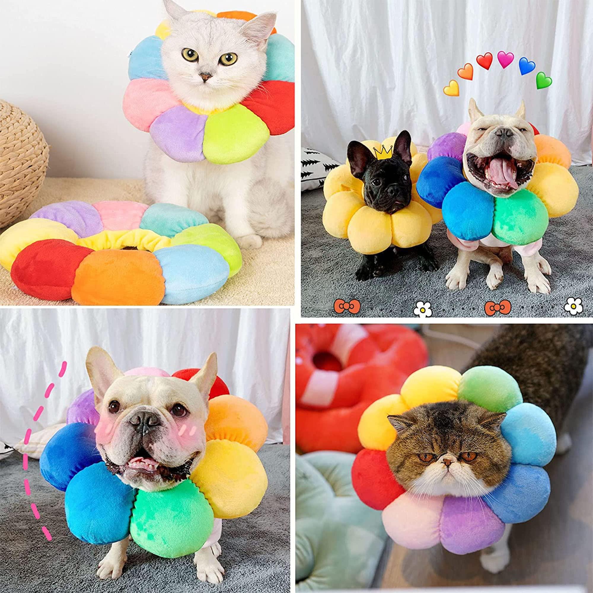 Bảo vệ rò rỉ cổ chó cho chó, chó đau bảo vệ rò rỉ chó, cổ áo mèo, chó phễu, phễu mèo, nước hoa bảo vệ mèo cho mèo, cổ áo cổ mềm
