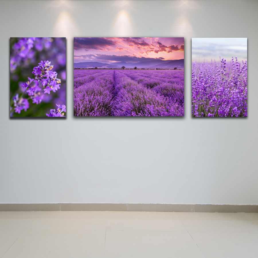Bộ 3 Tranh Canvas Tặng Kèm Sơ Đồ Treo Tranh Và Đinh Treo Tranh Chuyên Dụng - Khung Hình Phạm Gia PGTK166