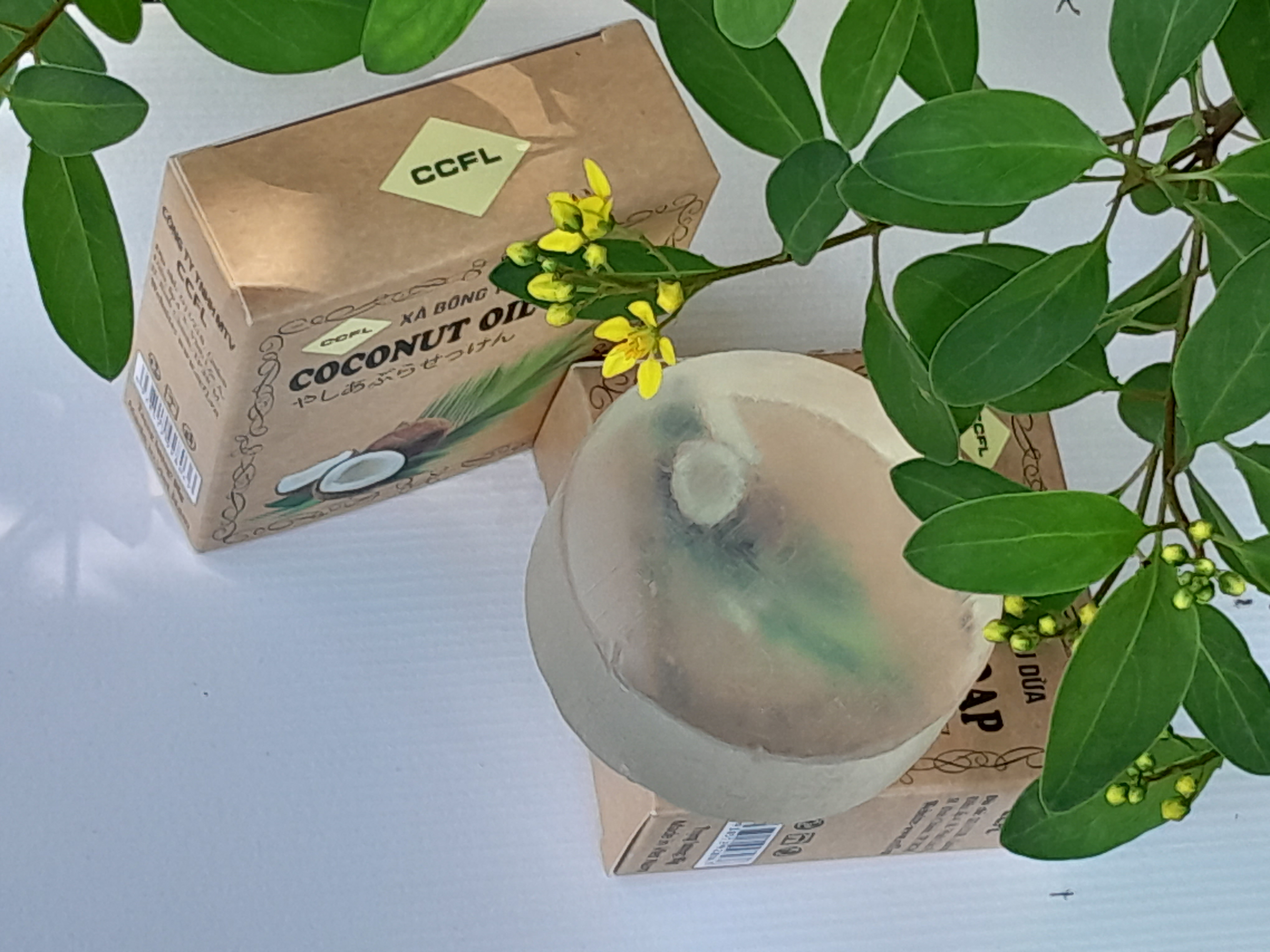 XÀ BÔNG DỪA , Giúp Giảm Mụn Lưng, Cho Làn Da Tươi Trẻ, Mềm Mịn, Ai Trong Gia Đình Cũng Dùng Được. Được Sản Xuất bằng Phương Pháp Thủ Công Thuần Túy. #xabongdua #munlung #xabongthiennhien #xaphongthiennhien
