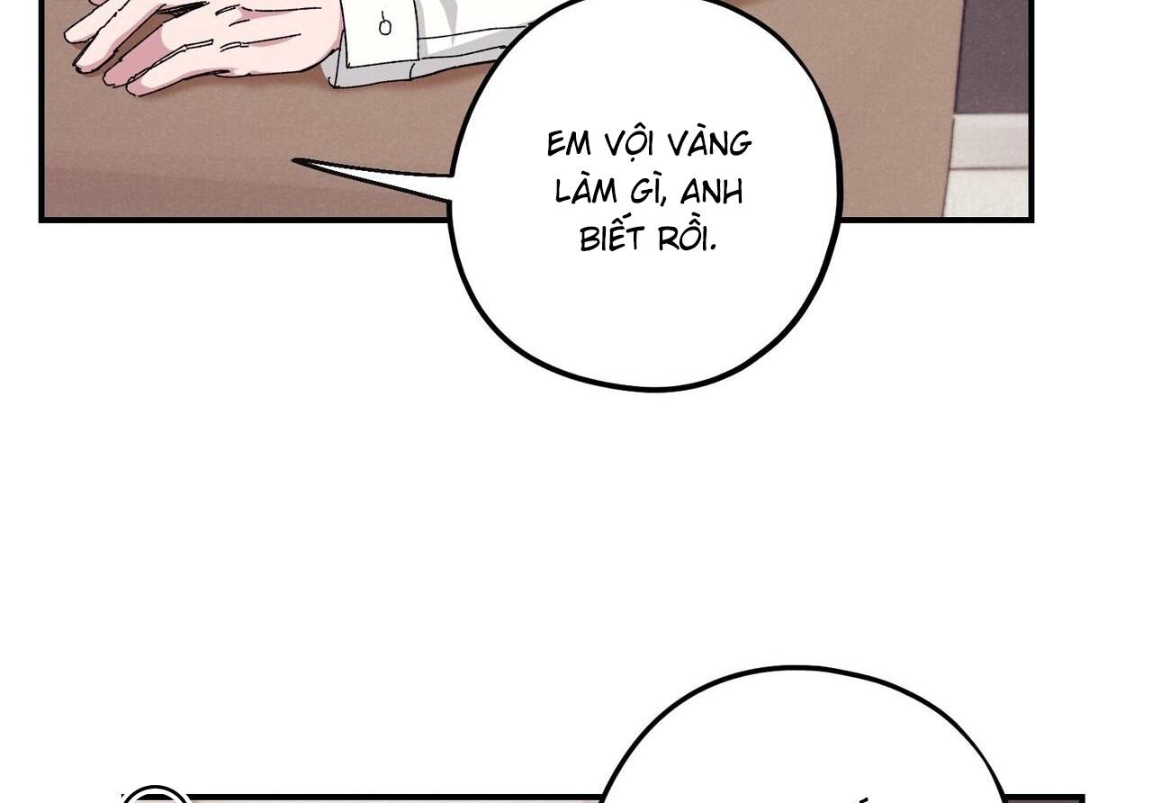 chàng dâu nhà họ kang chapter 33 17