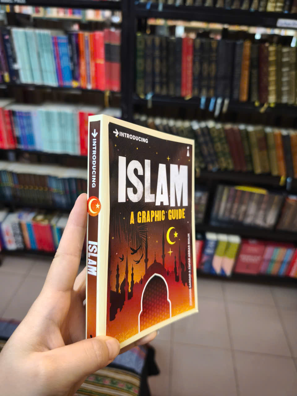 Sách - Introducing Islam: A Graphic Guide by Ziauddin Sardar - Religion /Nonfiction/ Islam in English