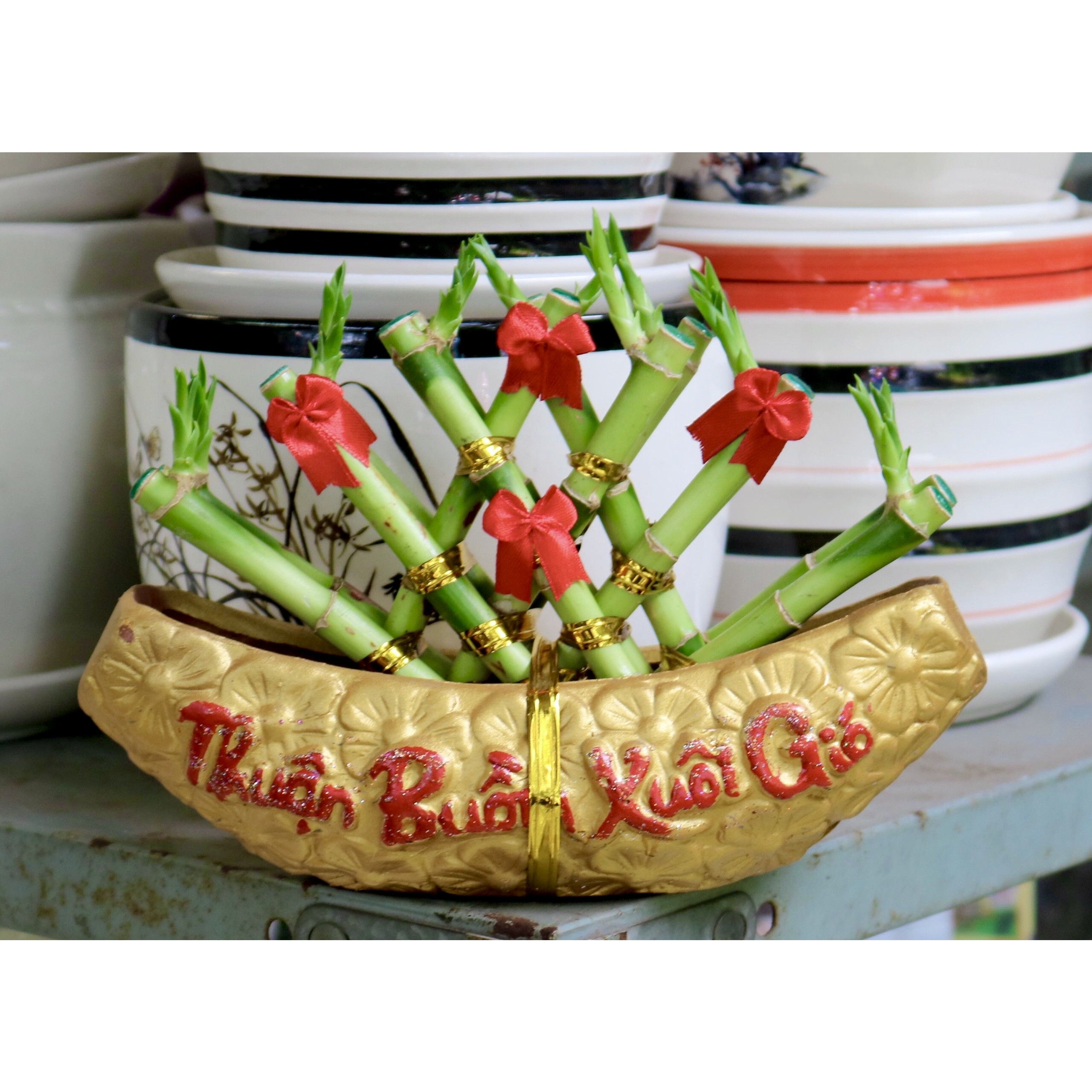 Chậu thuyền phát tài phú quý thuận bườm xuôi gió