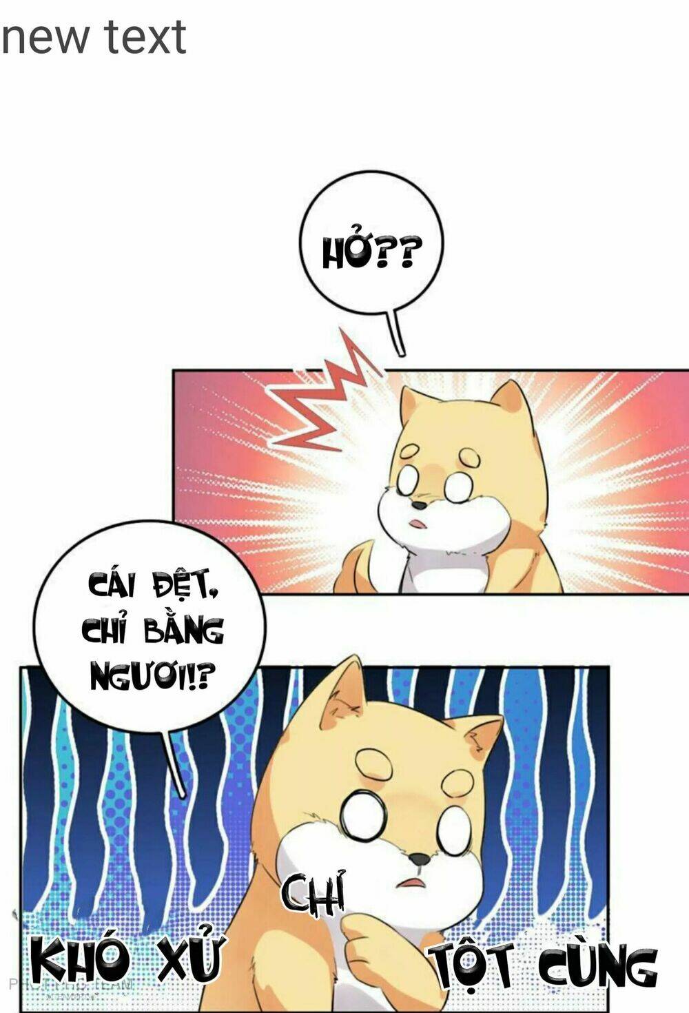 hôm nay lại cũng không thể biến thành người được chapter 6 41