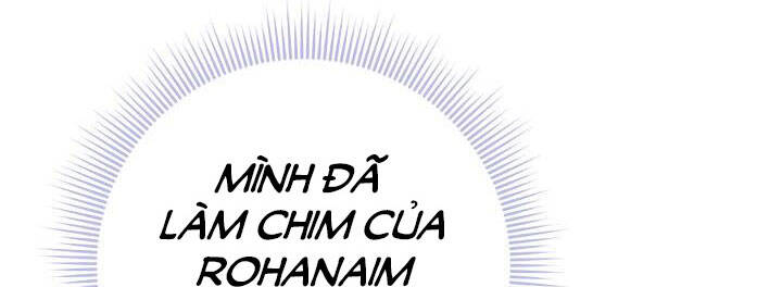 công chúa của loài chim chapter 49 26