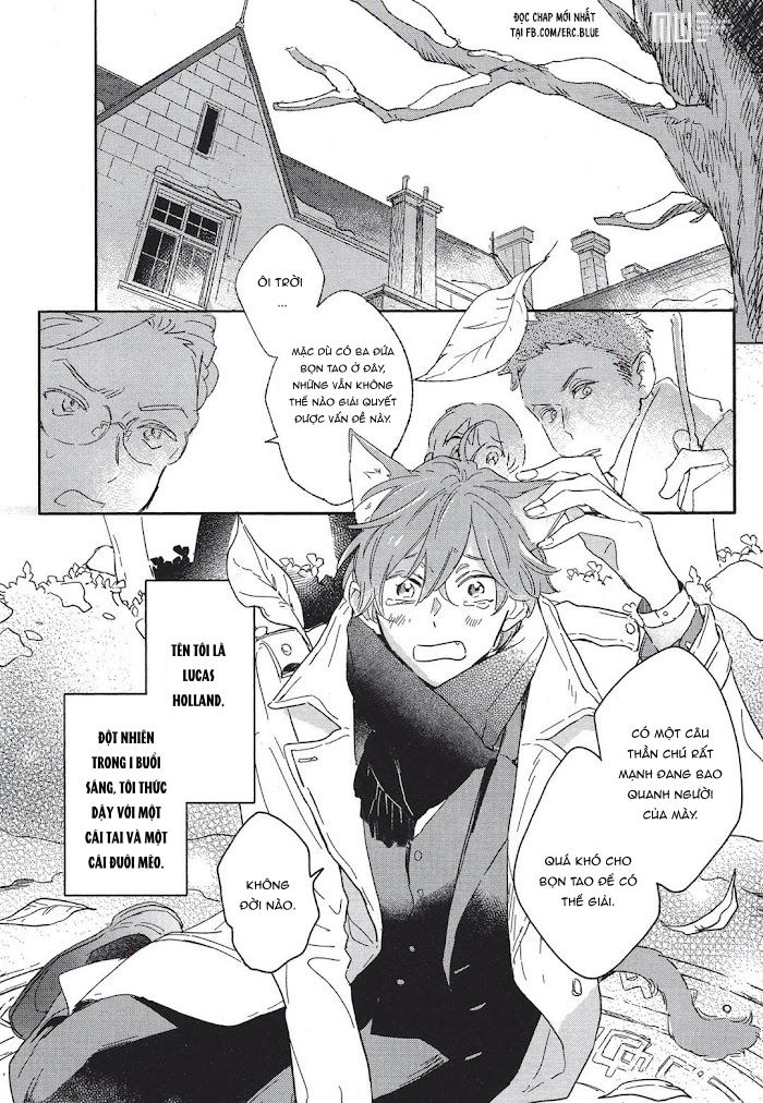 neko to mahou wa kiss de hodokeru chapter 1 2