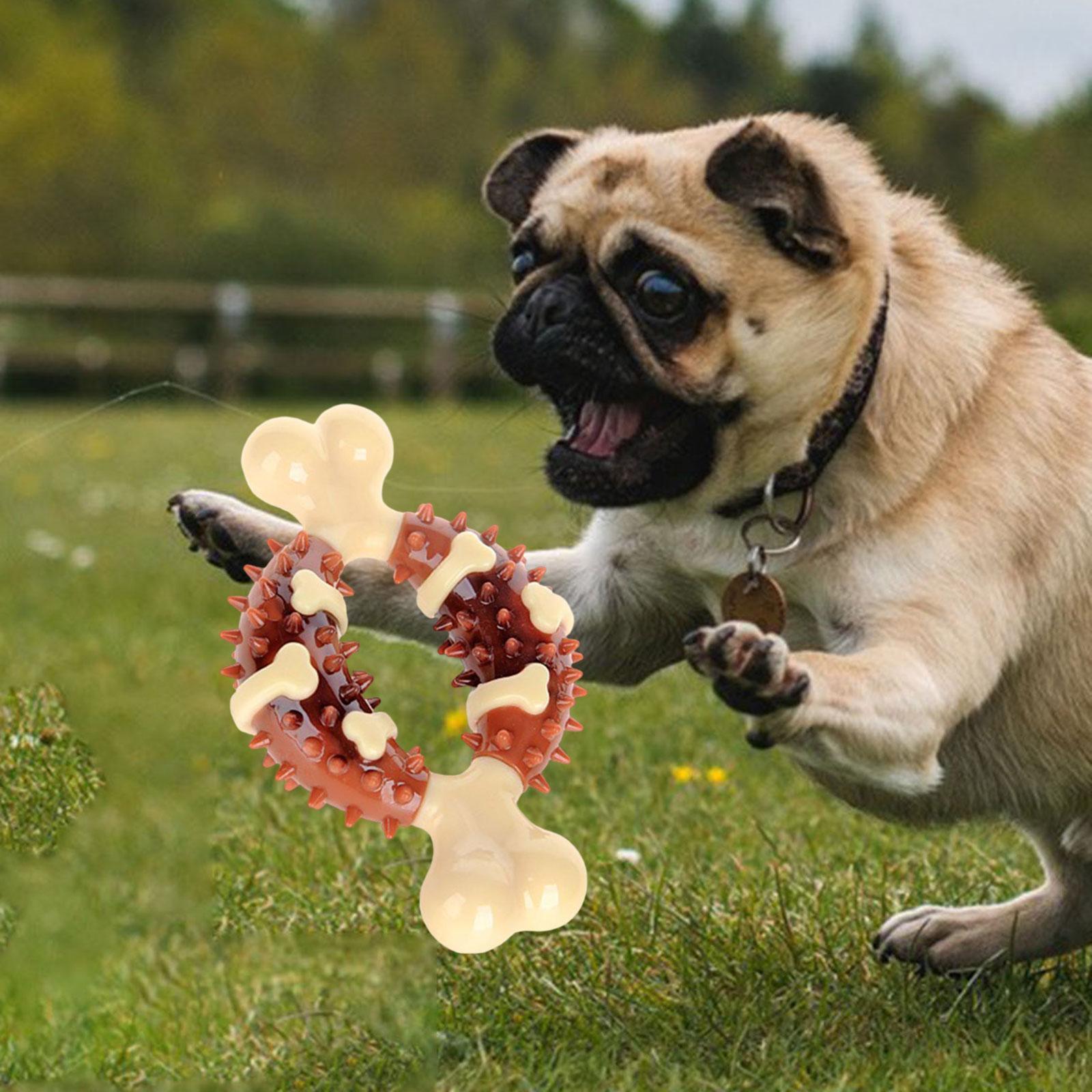Dog Chew Toy Durable Silicone Portable Tough Chewer for Boredom Relaxing