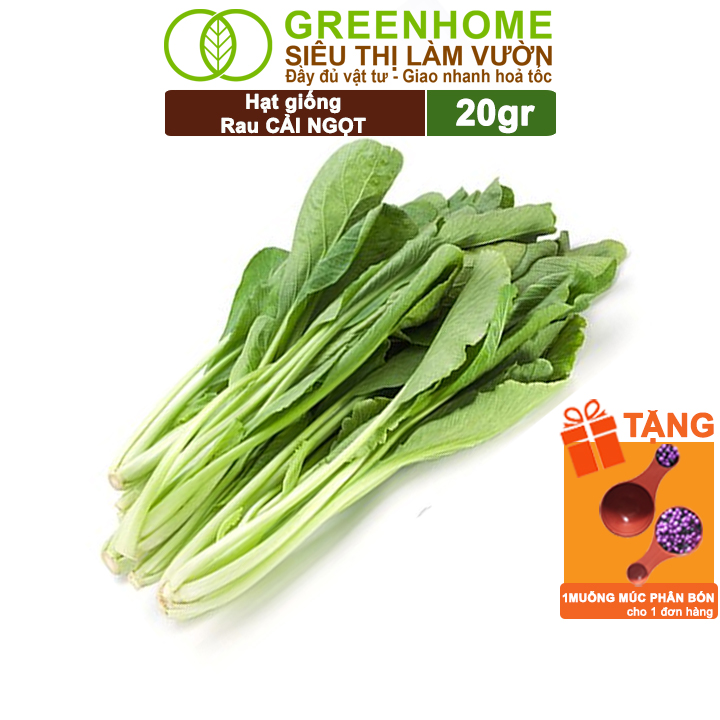 Hạt Giống Rau Cải Ngọt Greenhome, Gói 20g, Dễ Trồng Quanh Năm, Nảy Mầm Cao, Thu Hoạch Nhanh, Năng Suất Cao R03