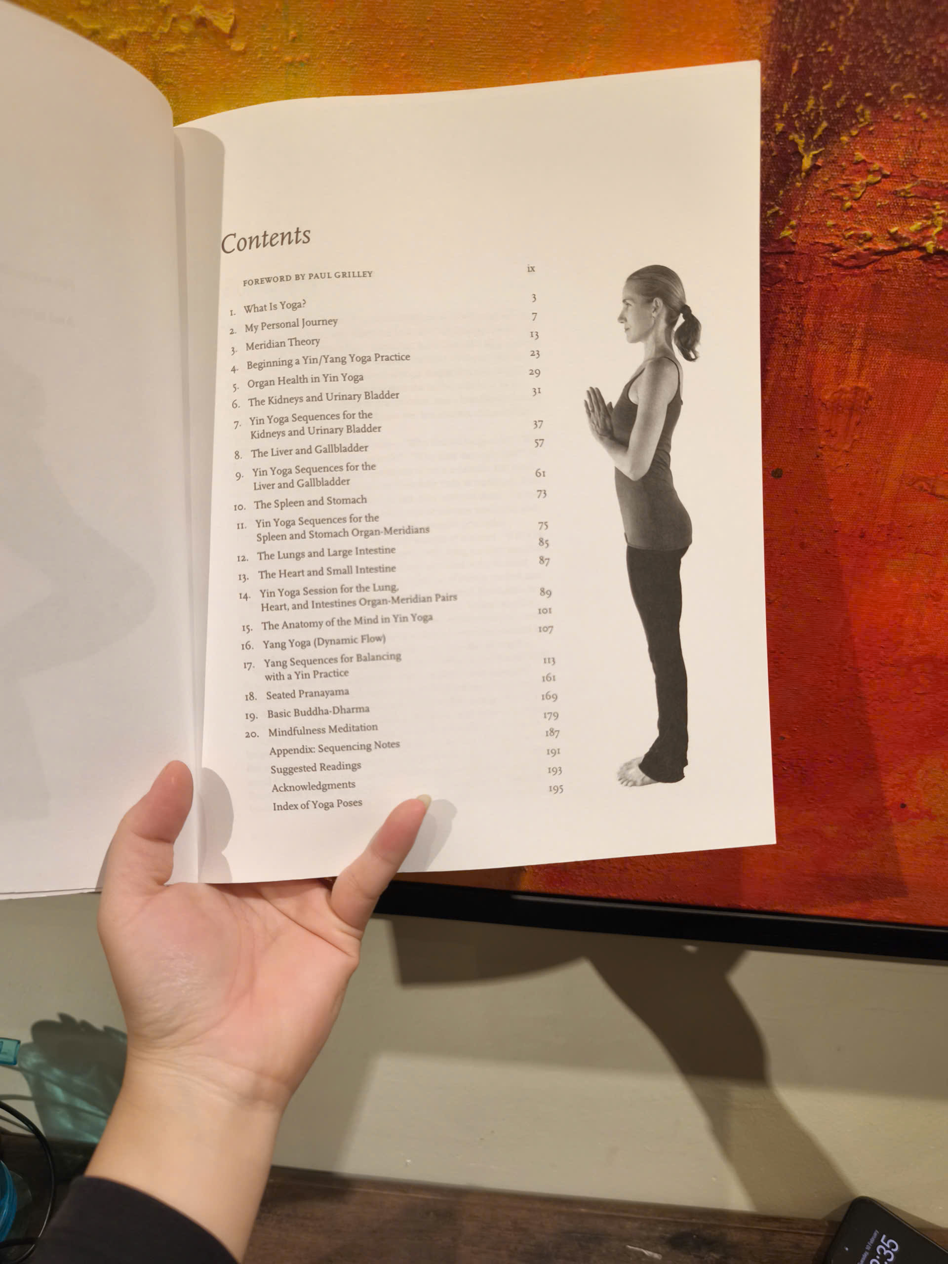 Sách - Insight Yoga by Sarah Powers - An Innovative Synthesis of Traditional Yoga, Meditation