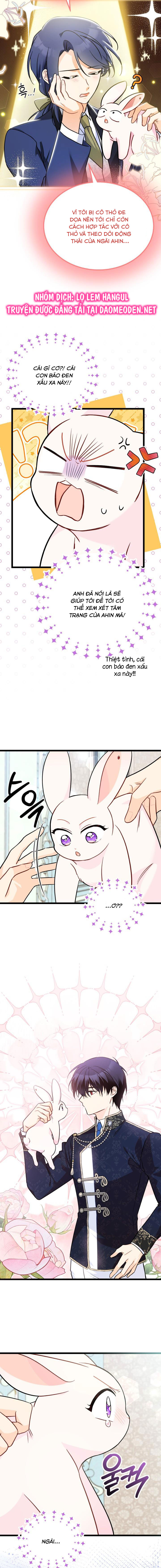 mối liên kết giữa báo đen và bé thỏ chapter 151 12