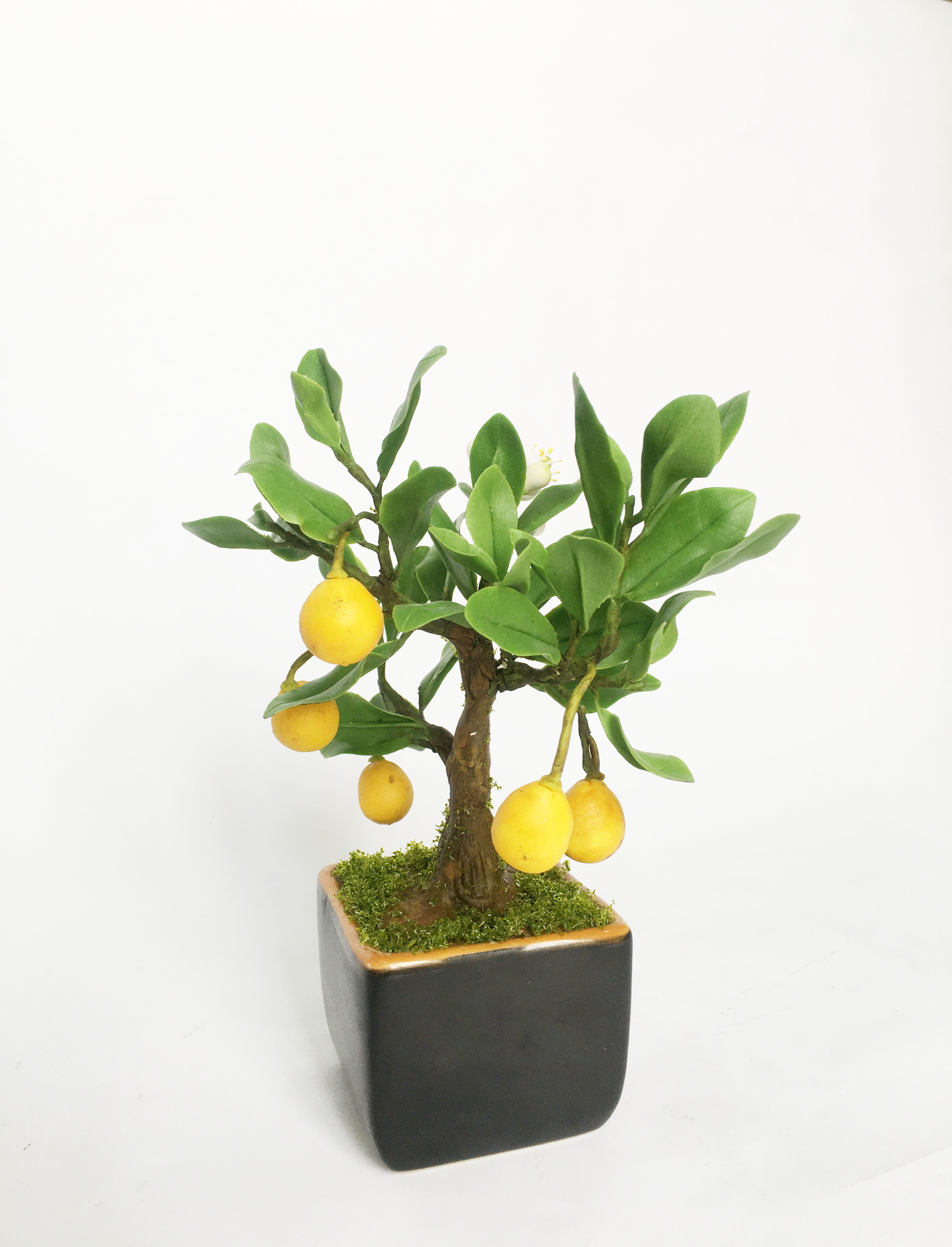 Chậu hoa đất sét mini- Bonsai bưởi - Quà tặng trang trí handmade