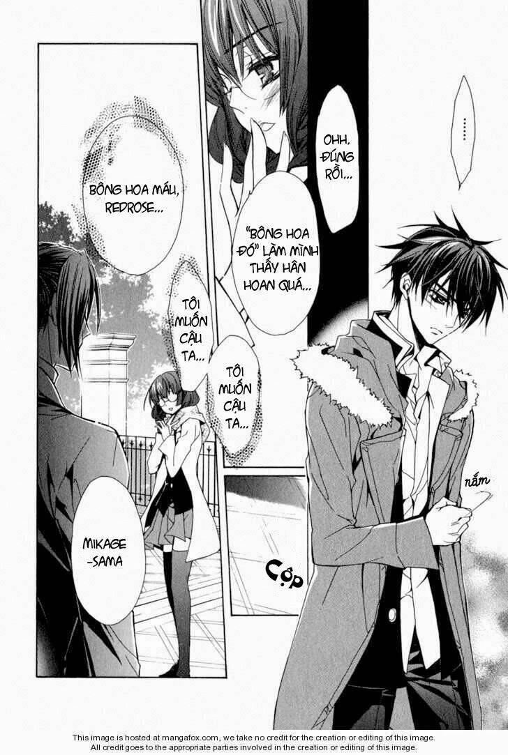 nụ hôn của công chúa tường vi chapter 19 29