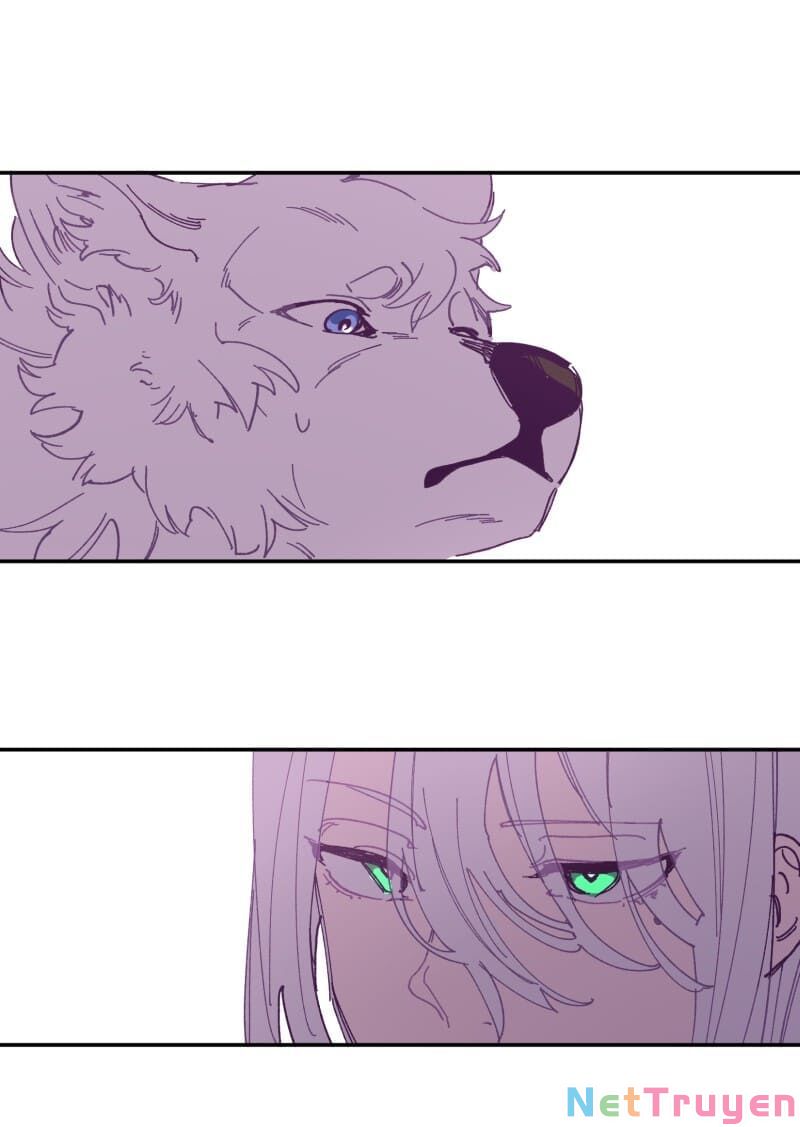 lumine - cội nguồn ánh sáng chapter 116 17