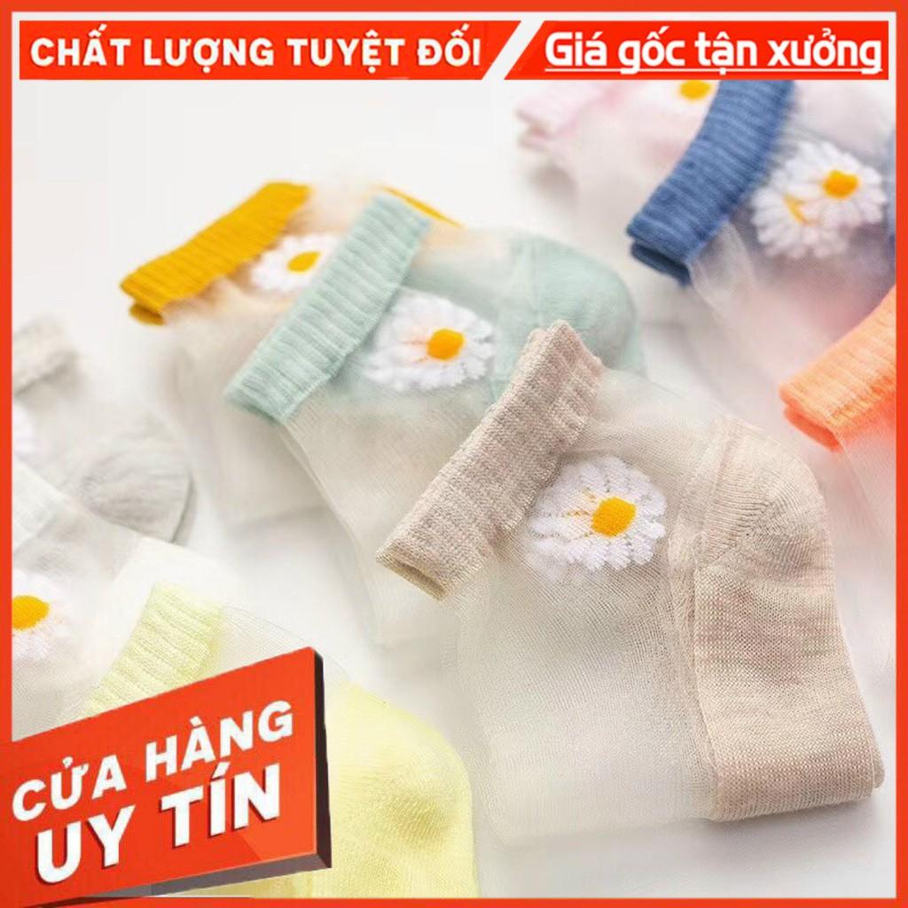 Tất Pha Lưới Thêu Hoa Cúc Siêu Xinh Combo Túi 10 Đôi