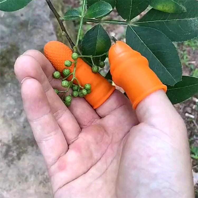 Bộ Móng Nhặt Rau Củ Quả Chống Bẩn Móng Tay, Ngón Cái Bấm Cắt Rau Củ - Nạo Gọt Tiện Lợi - DumiStore