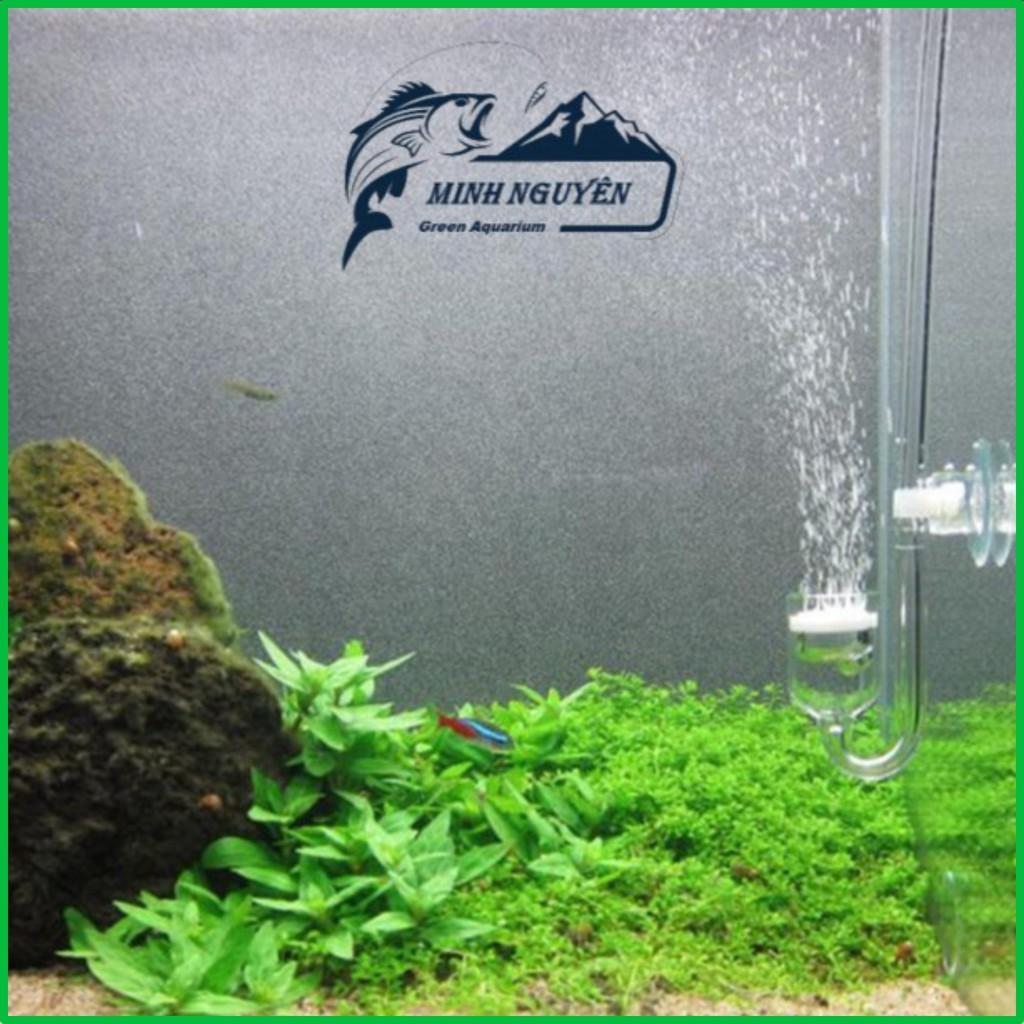 Bộ ống sủi Co2 thủy tinh chống gập | ống Co2 thủy tinh