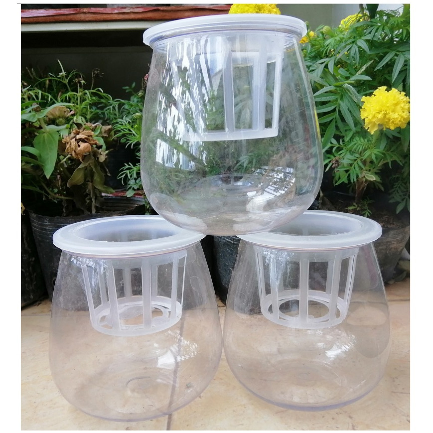 ComBo 3 Chậu Nhựa Trồng Cây Thủy Sinh, Kích Thước 10x10x13Cm