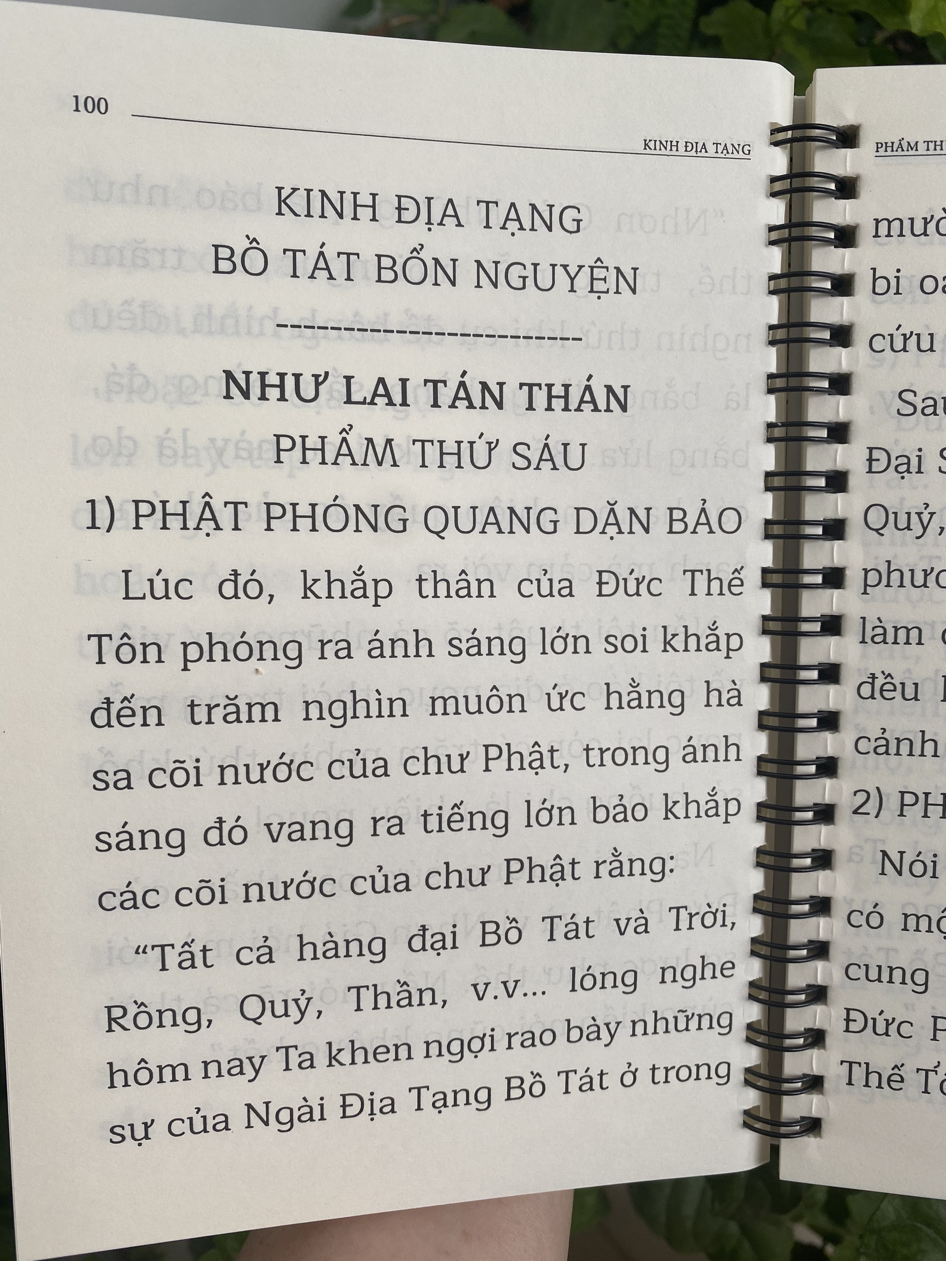 Kinh Địa Tạng Bồ Tát Bổn Nguyện (khổ trung, gáy lò xo) - Việt dịch: Hòa thượng Thích Trí Tịnh