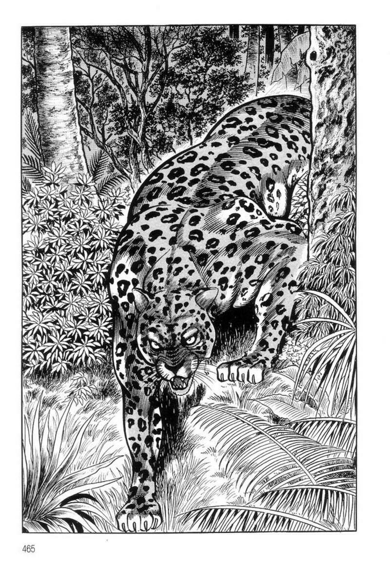 king of brutes chapter 1 44