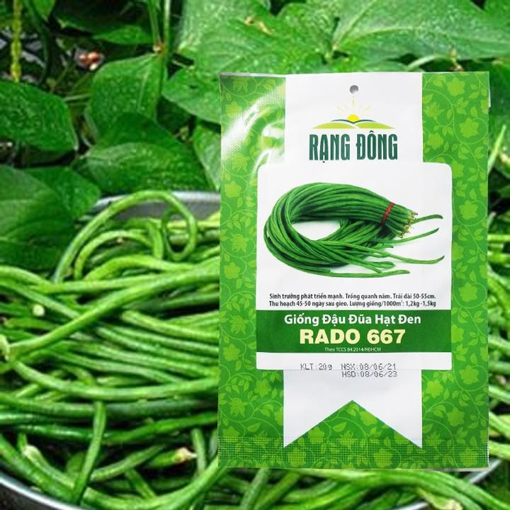 Hạt Giống Đậu Đũa RADO 667 - 20gr - Sinh Trưởng Manh, Trồng Quanh Năm, Cho Đậu Xanh và Dài, Ăn Dòn, Ngon, Ngọt