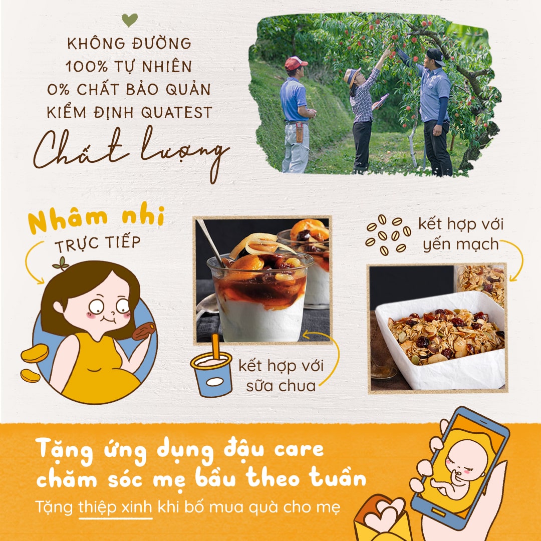 Mixfruits Trái Cây Sấy Dẻo Nhập Khẩu Hũ 300g | Nhà Đậu | 5