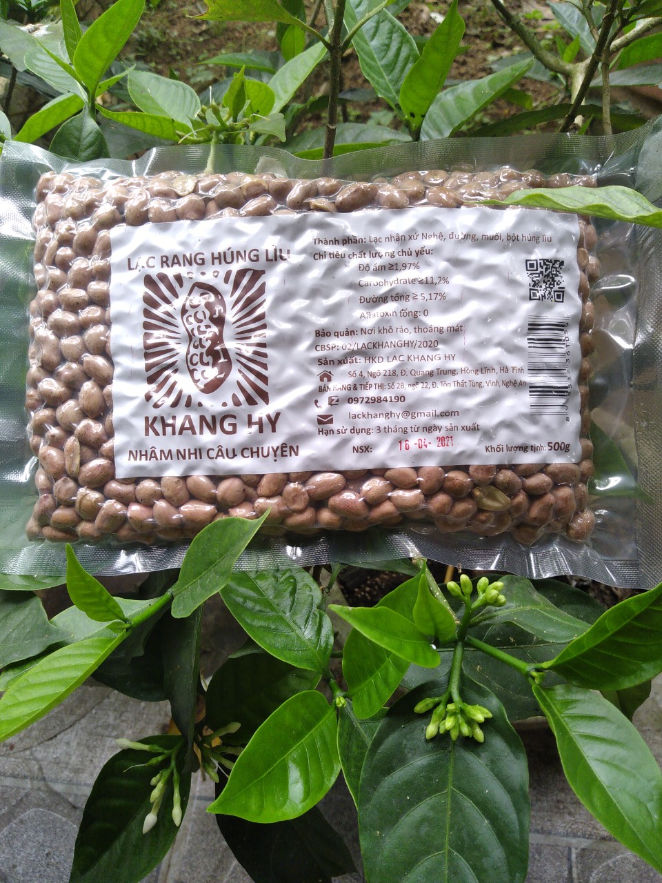 Combo 1 gói Lạc rang húng lìu 500g + 1 gói Lạc rang nguyên vỏ 500g