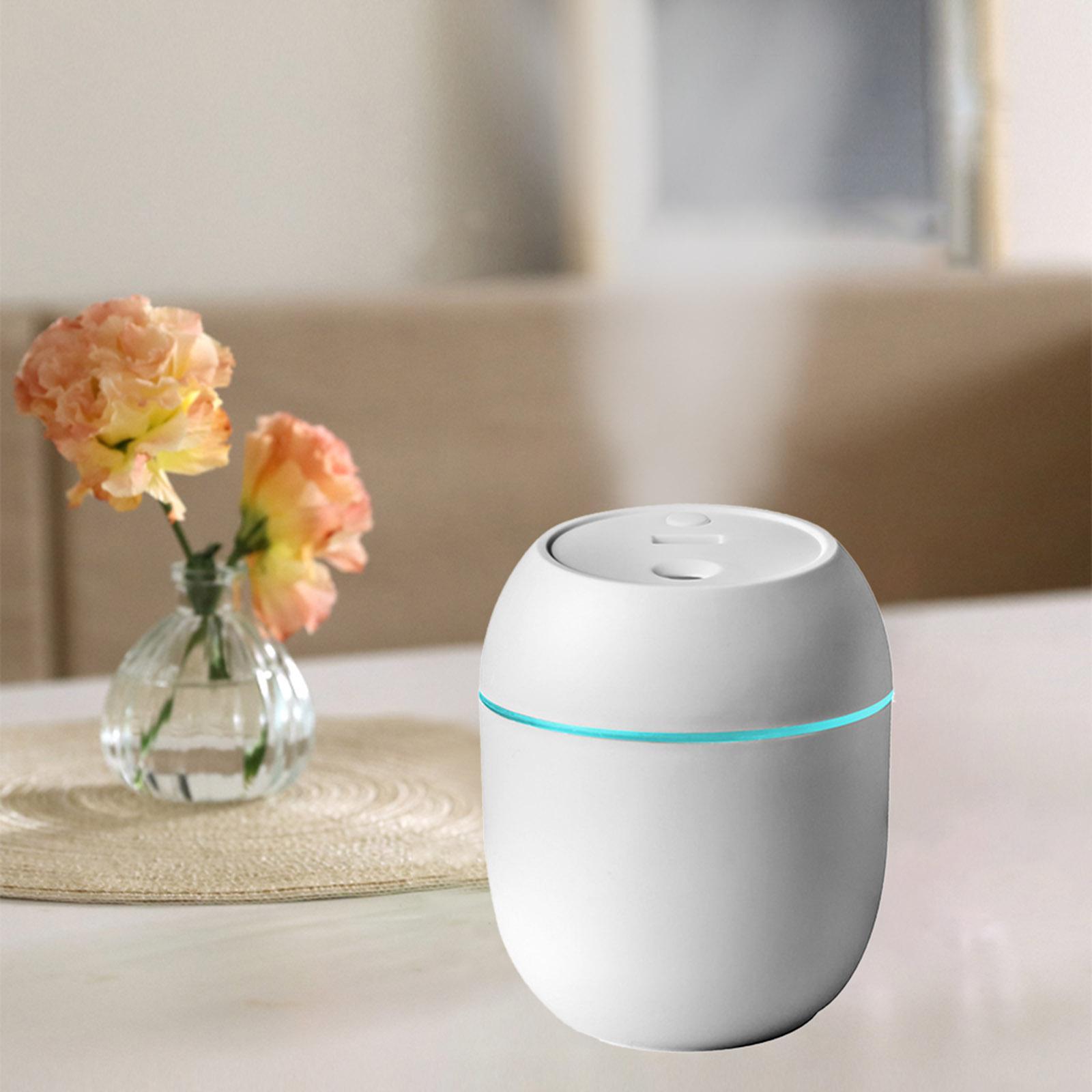 Portable Air Humidifier 250ML Oil Diffuser Fogger for Office