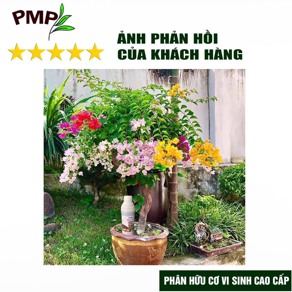 Phân bón hoa giấy Flymic PMP giúp kích hoa, lặp hoa nhanh, sai hoa, hoa nở đồng loạt chai 1 lít