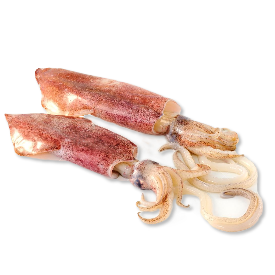 Mực ống hộp tự nhiên - 1kg