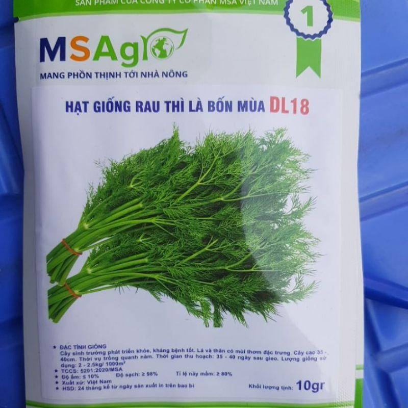Hạt giống rau thì là bốn mùa  10g