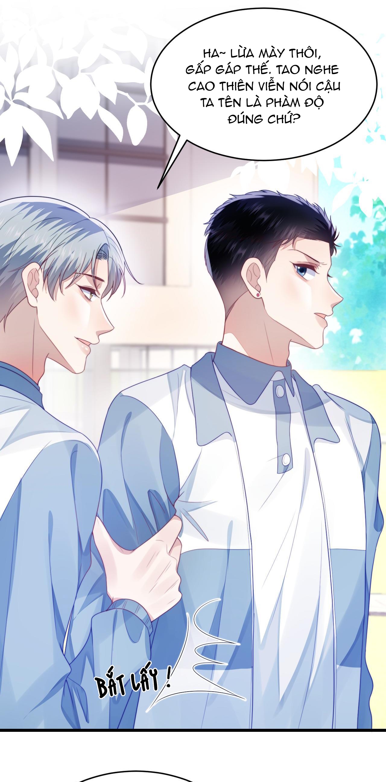 mèo hoang nhỏ của học bá quá chọc người rồi chapter 36 21