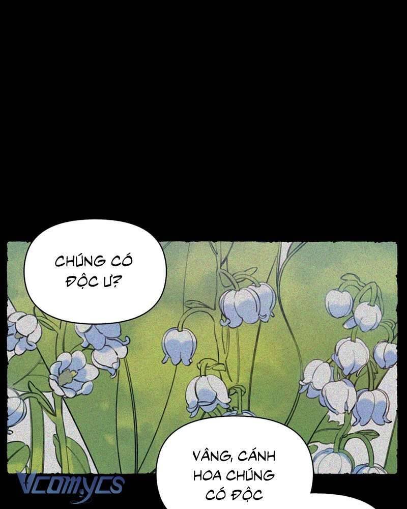 chuyện tình hoa lưu ly chapter 5 71