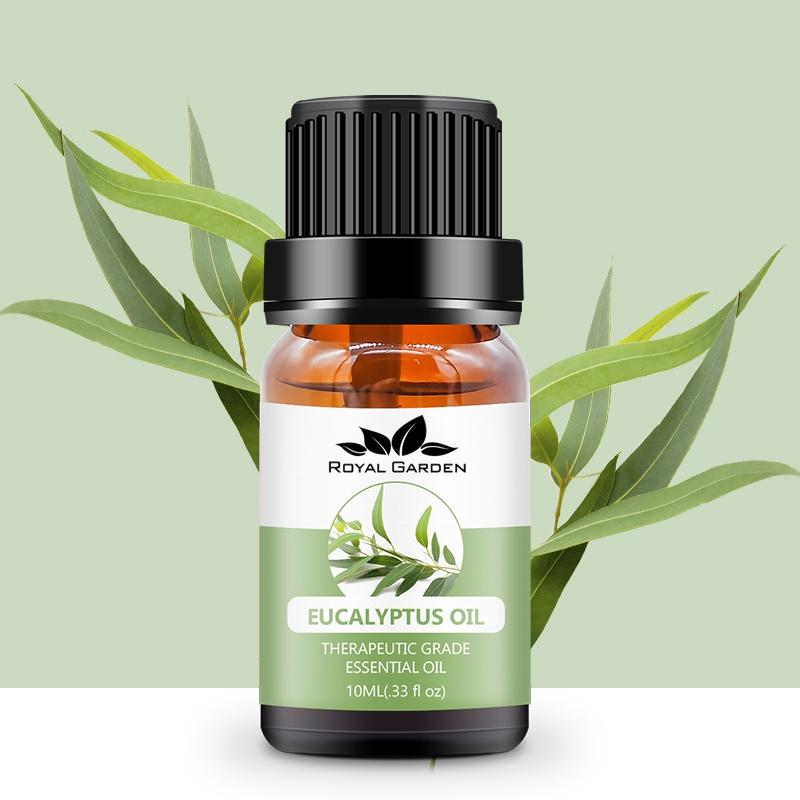 Tinh dầu 10ml / 50ml Bạch Đàn Eucalyptus - Triết xuất thiên nhiên 100% từ Úc