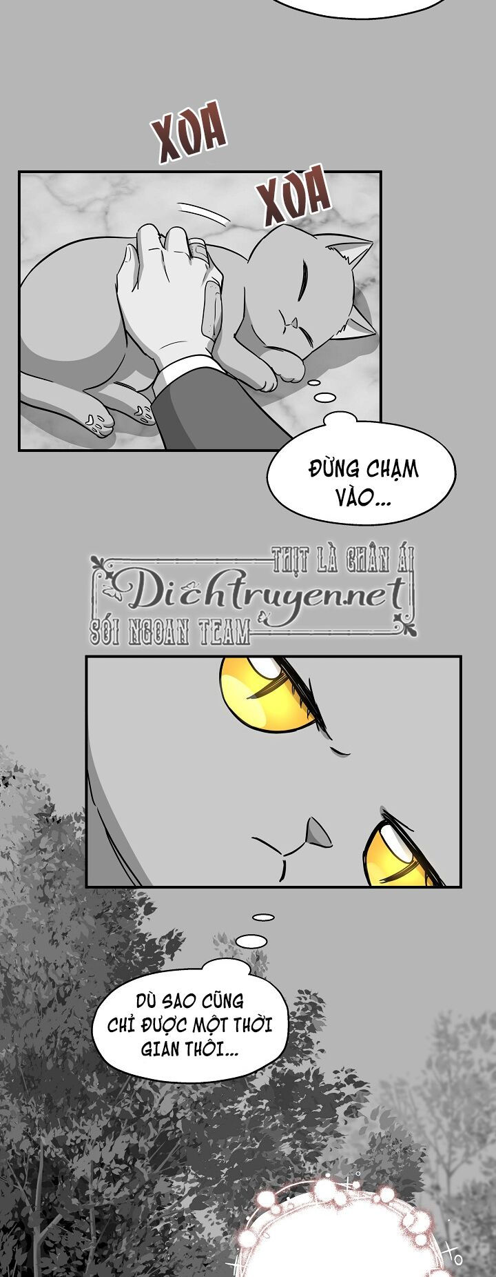 cuộc sống kỳ thú chapter 41 15